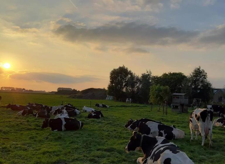 غرفة ديلوكس, B&b De Hemelse Polder