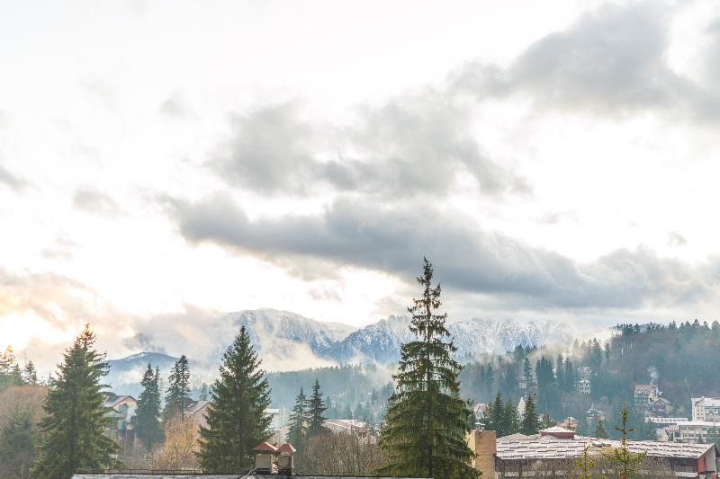 1ベッドルームアパートメント, Mountain Breeze