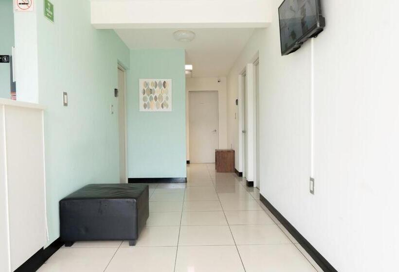 Номер Стандарт, Esencia Hostel Terminal Oaxaca