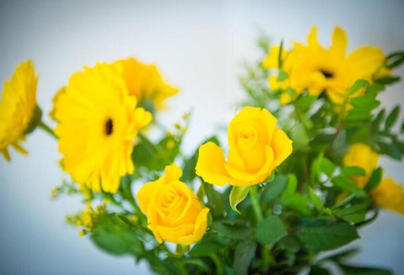 Superior Rum med Terrass, Mandalay