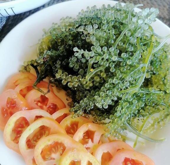 اتاق استاندارد, Bella Villa Coron