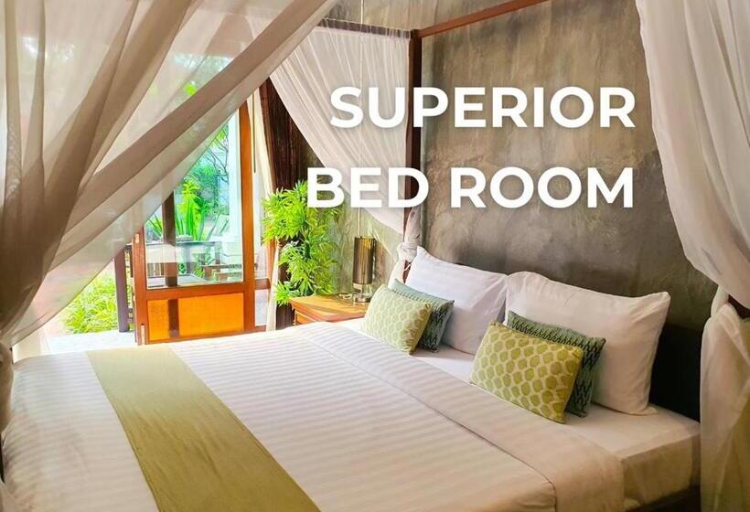 חדר סופריור, Vijit Nakorn