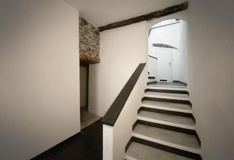 Номер Стандарт, Unico