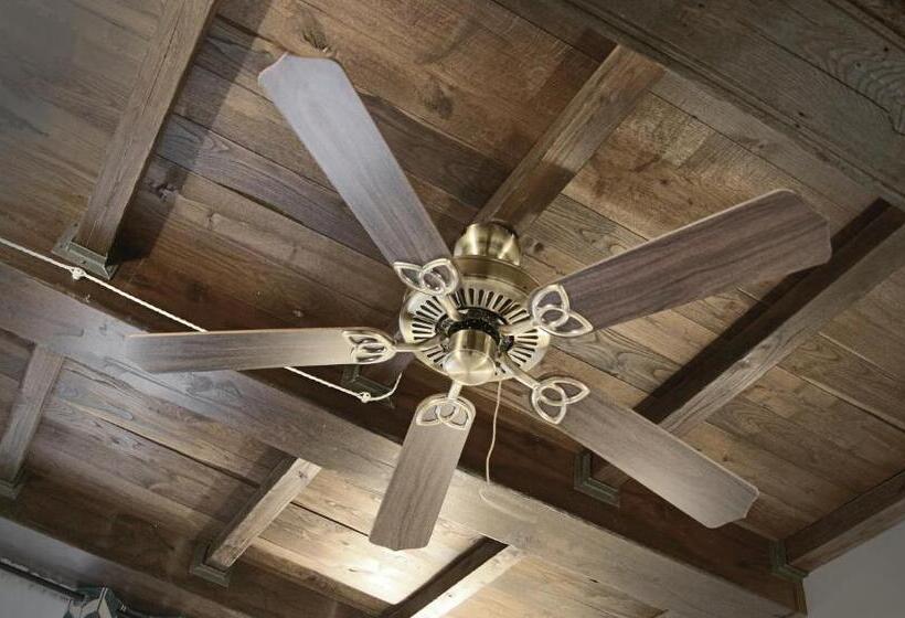 Номер Стандарт, Unico