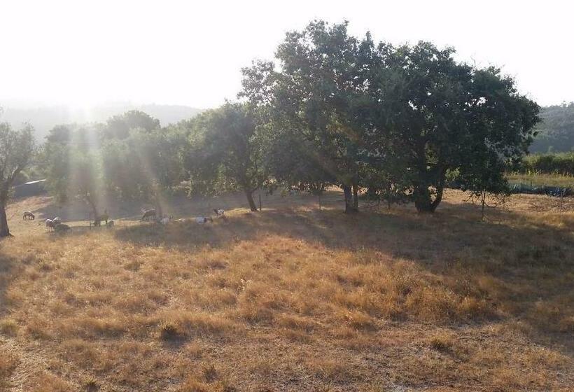 Дом 4 Спальни, Casa Do Cabeço