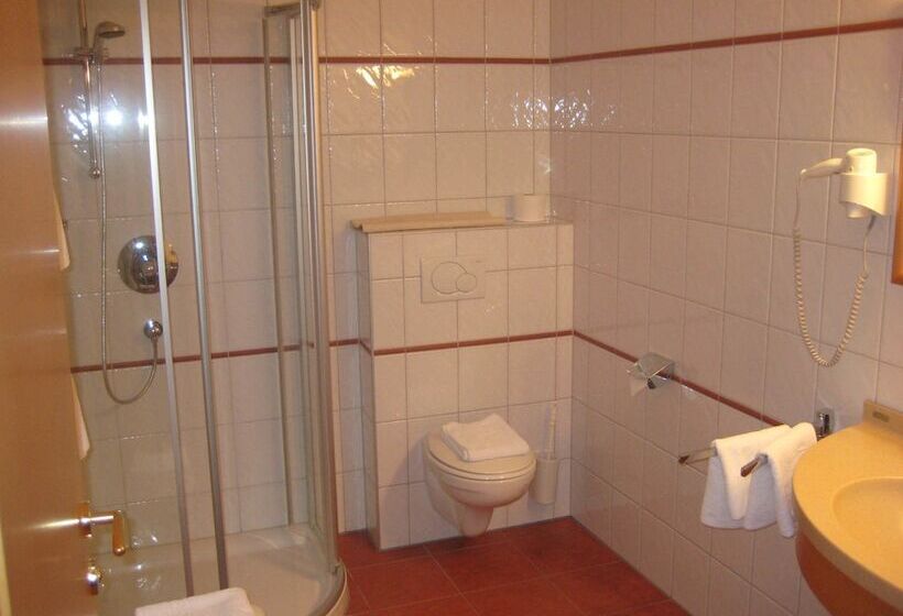 シングルデラックスルーム, Gasthof Zum Stollhofer