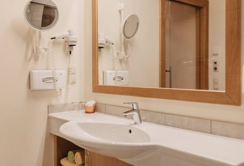 Standard Single Room, Guggenberger