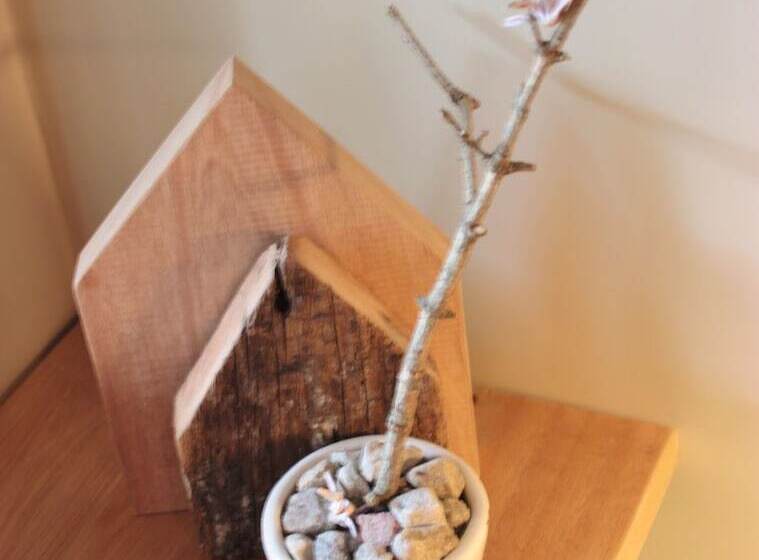 سوییت, Posada De Las Aguilas Hotel Boutique