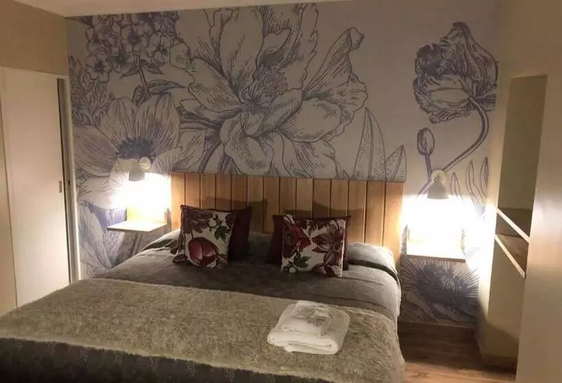 スーペリアールーム, Posada De Las Aguilas Hotel Boutique