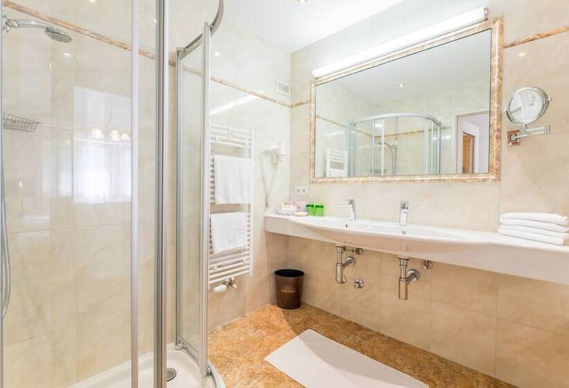 Номер Deluxe, Riedl Im Zillertal