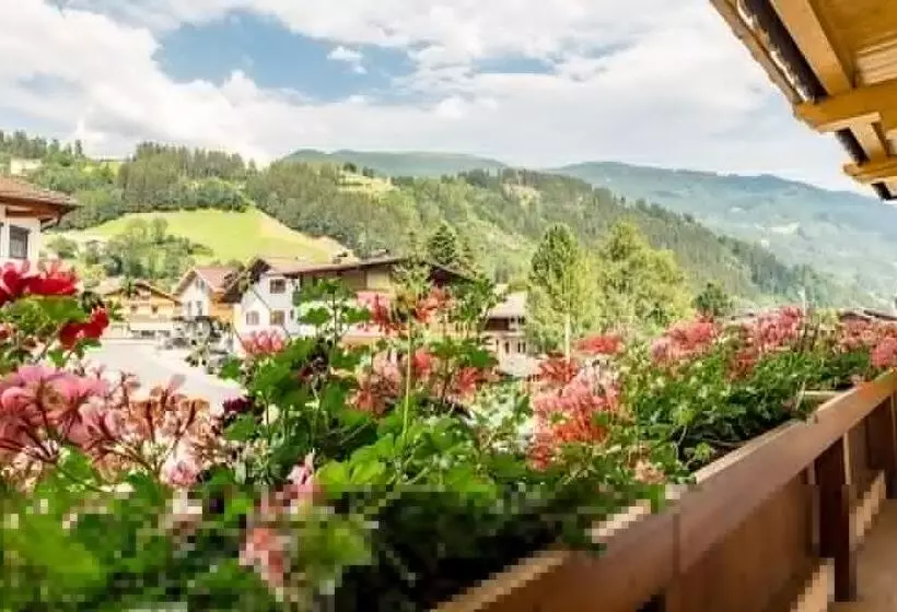スタンダードルーム, Riedl Im Zillertal