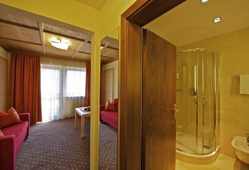 غرفة قياسية فردية, Sporthotel Panorama