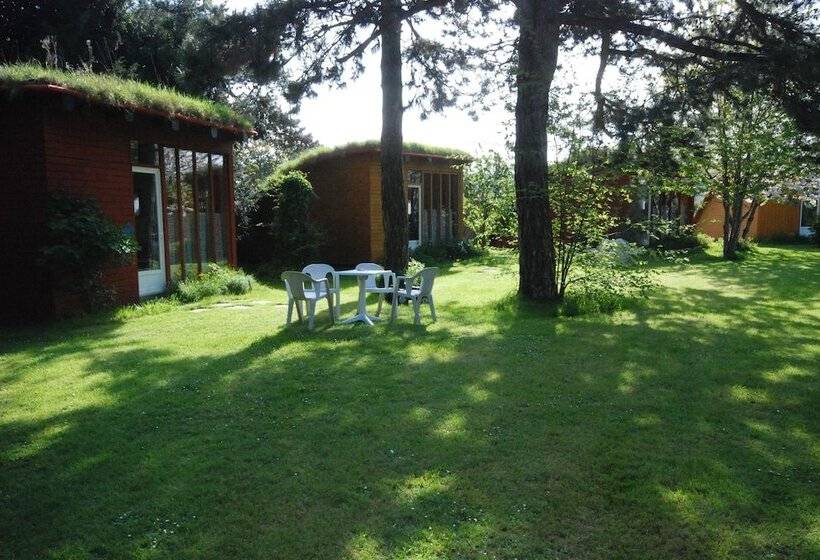 スタンダード４人部屋, Hôtel Rose