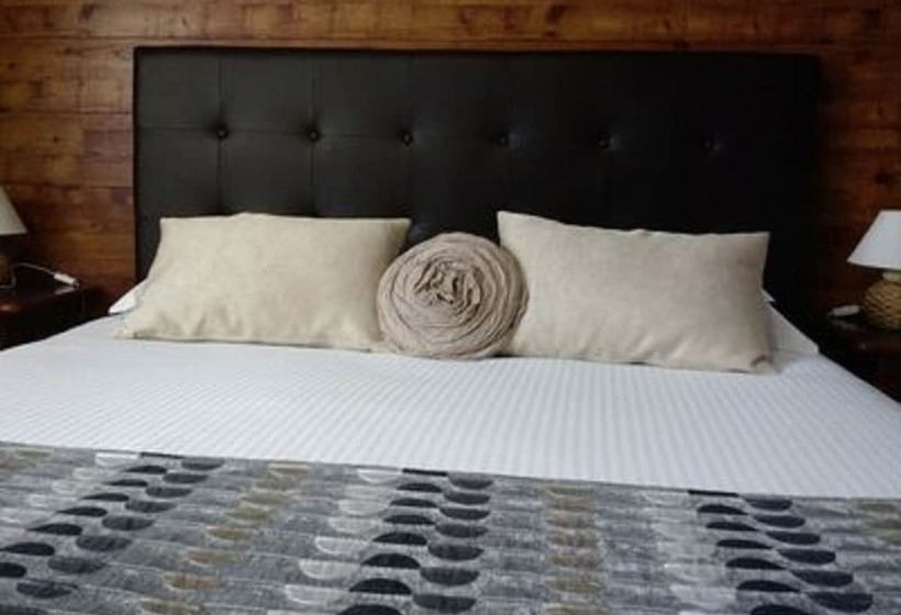 اتاق سوپریور, Logis Hotel Restaurant Spa Le Lac