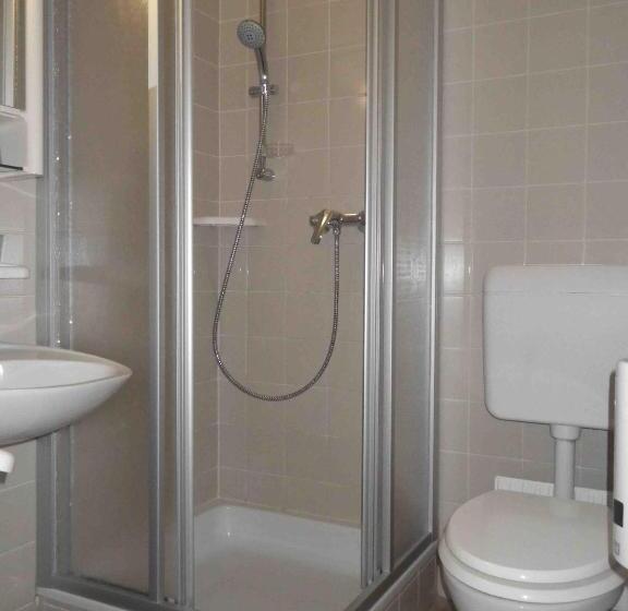 اتاق استاندارد یک نفره, Stadthotel Hauser Eck