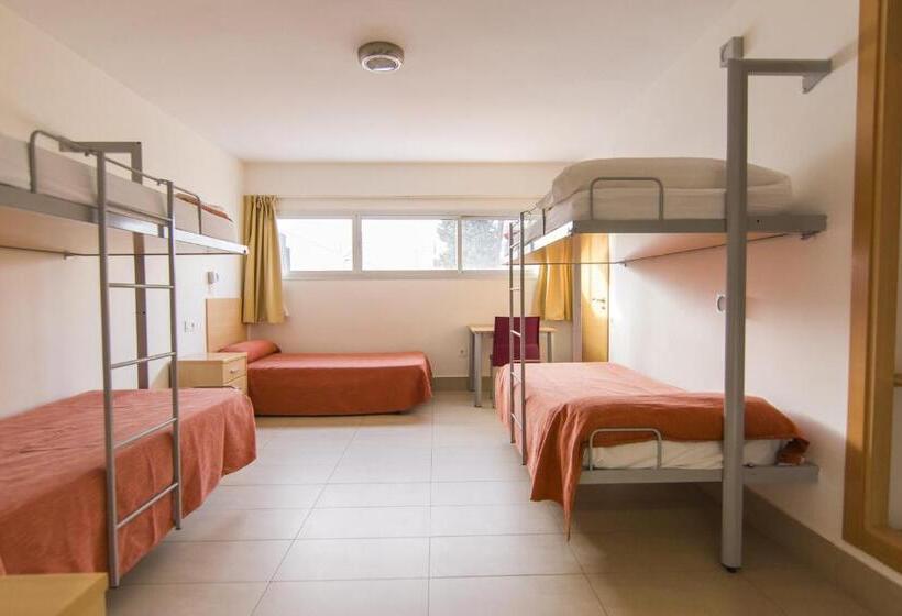 اتاق استاندارد چهار تخته, Albergue Inturjoven Sevilla