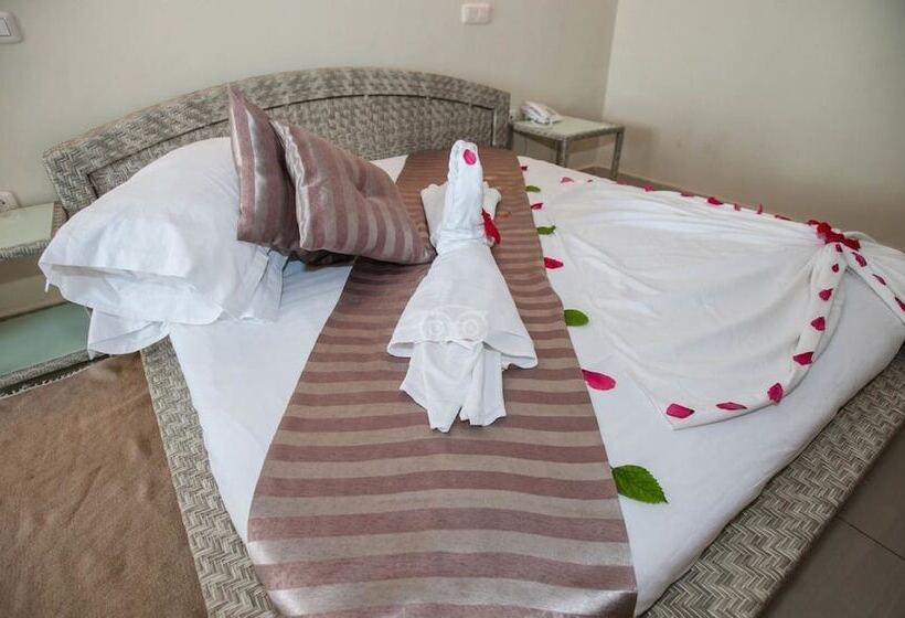 スタンダードトリプルルーム, Lella Meriam