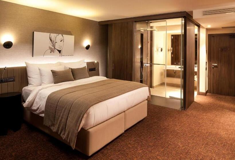 商务房间, Kronwell Brasov