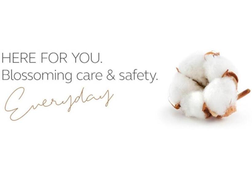 标准间, Kronwell Brasov