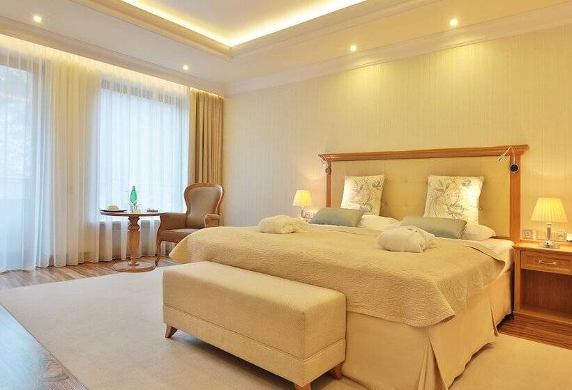 高级江景房, Retro Riverside Wellness Resort