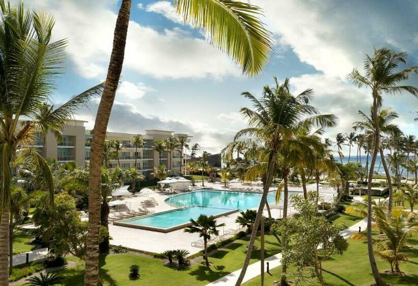 اتاق کلاسیک با تخت دونفره, The Westin Puntacana Resort