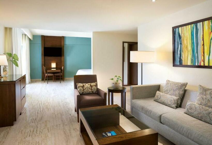 سوئیت با تخت بزرگ, The Westin Puntacana Resort