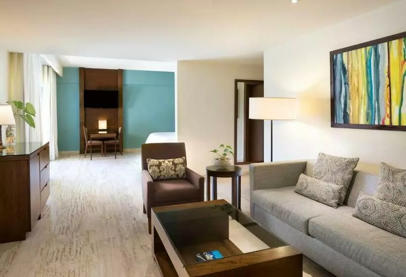 سوئیت با تخت بزرگ, The Westin Puntacana Resort