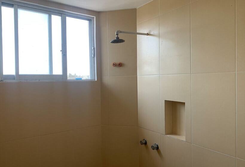 اتاق استاندارد, Papagayo