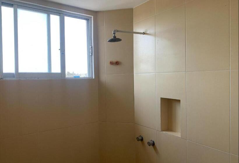 اتاق استاندارد سه نفره, Papagayo