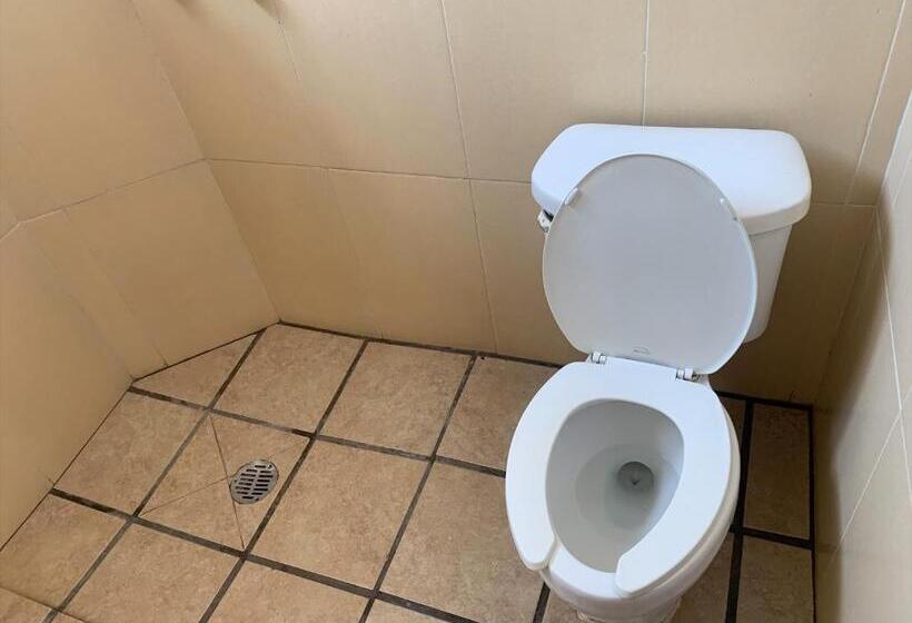 اتاق استاندارد یک نفره, Papagayo