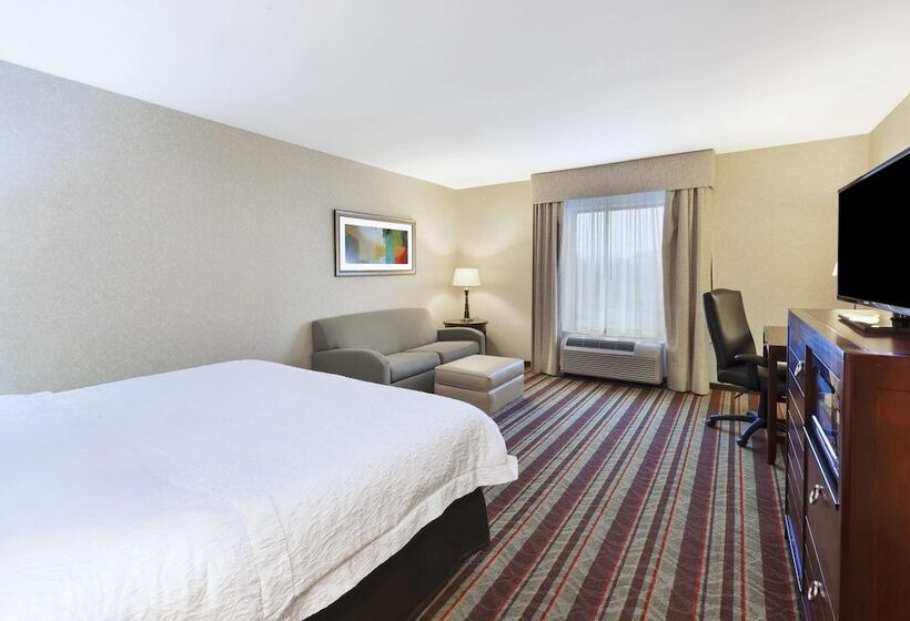 Quarto Estandar Cama King, Hampton Inn Detroit/southgate