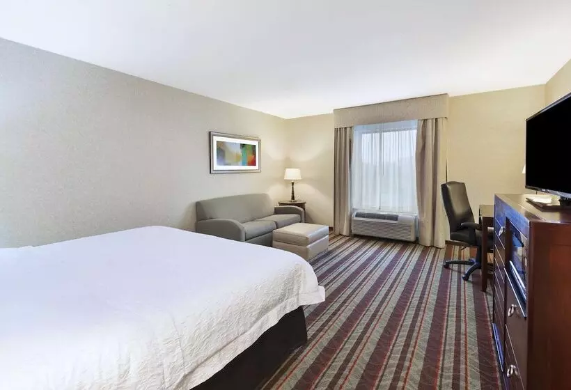 キングサイズベッドのスタンダードルーム, Hampton Inn Detroit/southgate