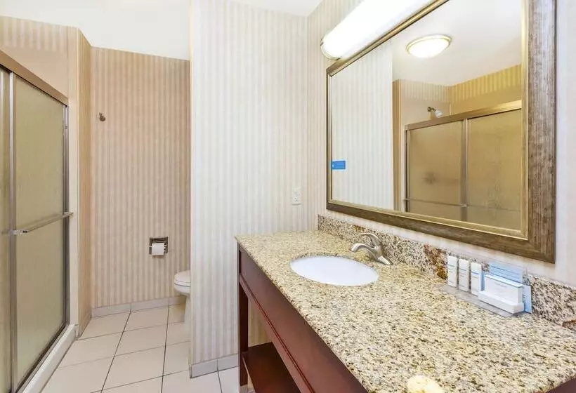 身障者適用スタンダードルーム, Hampton Inn Detroit/southgate