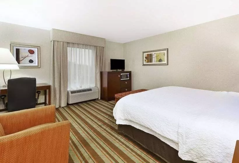 身障者適用スタンダードルーム, Hampton Inn Detroit/southgate