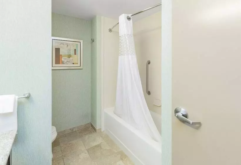 身障者適用スタンダードルーム, Hampton Inn Pittsburgh Bridgeville