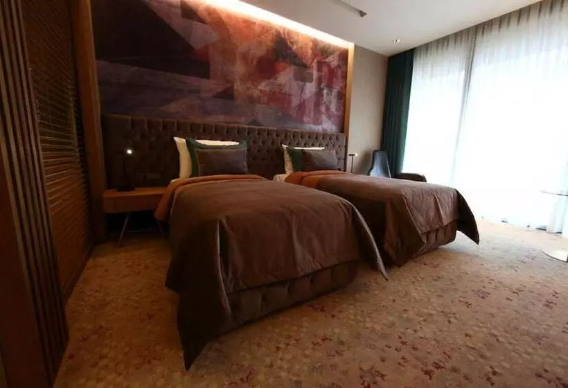 Deluxe-huone, Tasigo Eskisehir