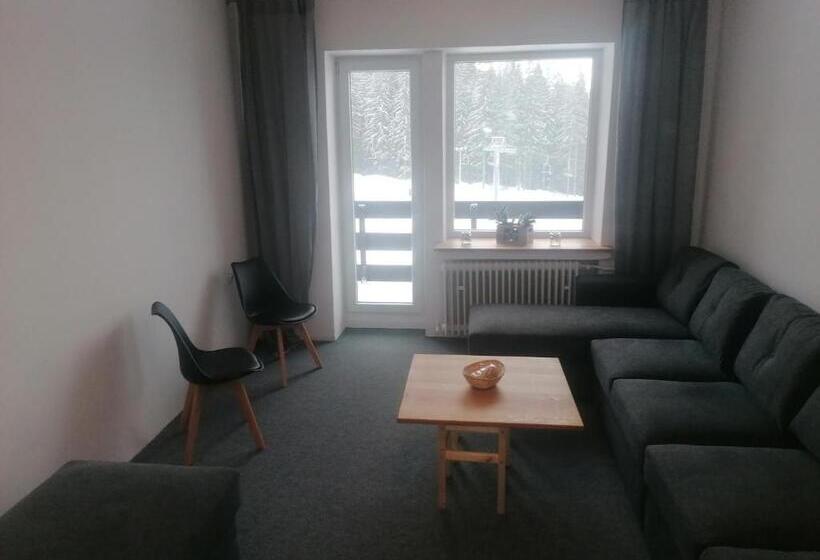 Номер Стандарт Трехместный, Chata Dom Horskej Služby Jasna