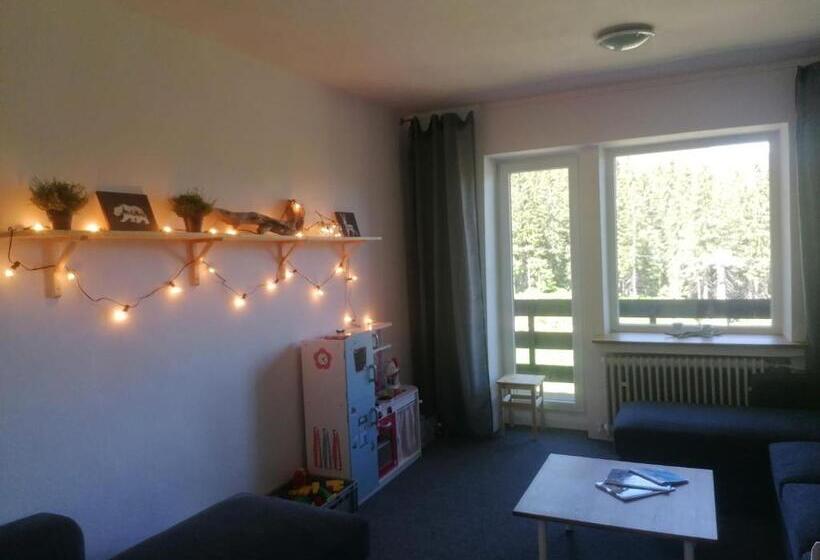 Студио Стандарт с Балконом, Chata Dom Horskej Služby Jasna