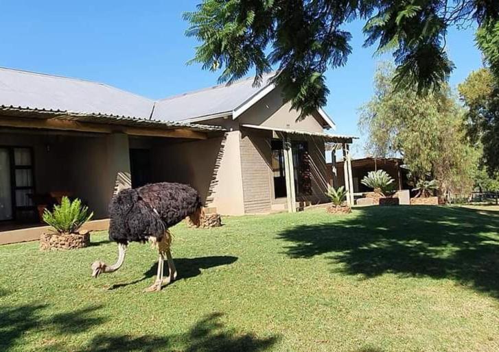 חדר סטנדרט נוף להרים, Berlouri Guest House