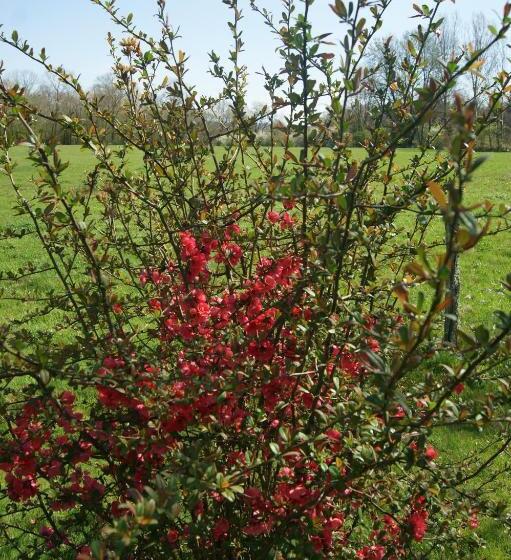 חדר סטנדרט נוף לגינה, La Mare Aux Grenouilles
