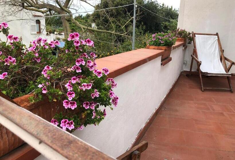 Номер Стандарт Вид на Море, Summer Paradise