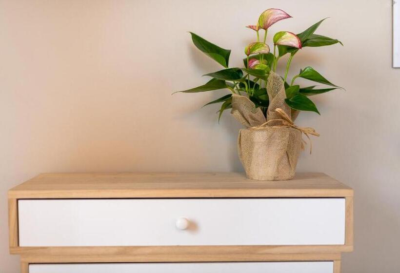 اتاق استاندارد سه نفره, Stella