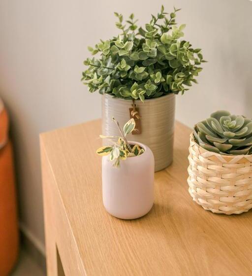 آپارتمان 1 خوابه, Daluz Boutique