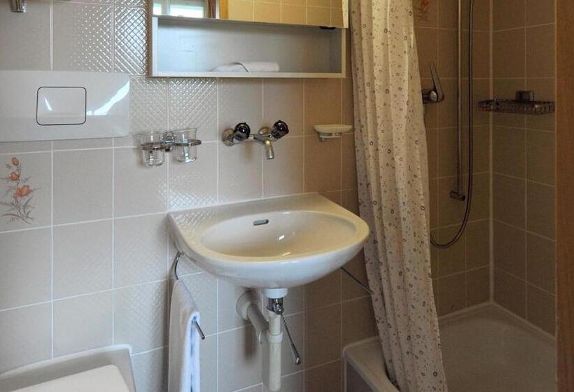 标准单人间, Gasthaus Paxmontana