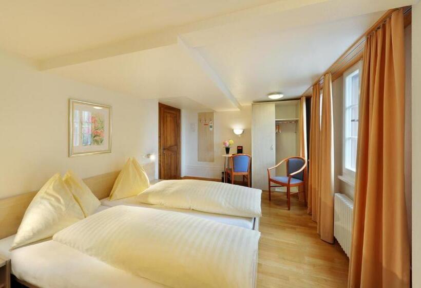 标准间, Gasthaus Paxmontana