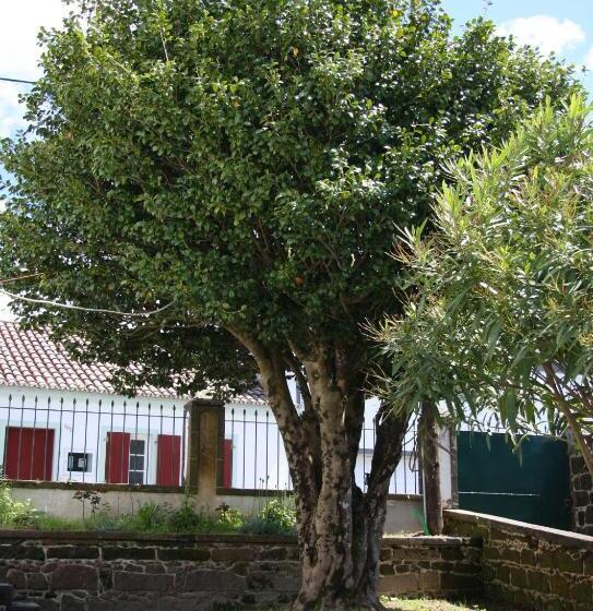 Номер Стандарт Совместная Ванная, Quinta Atlantis