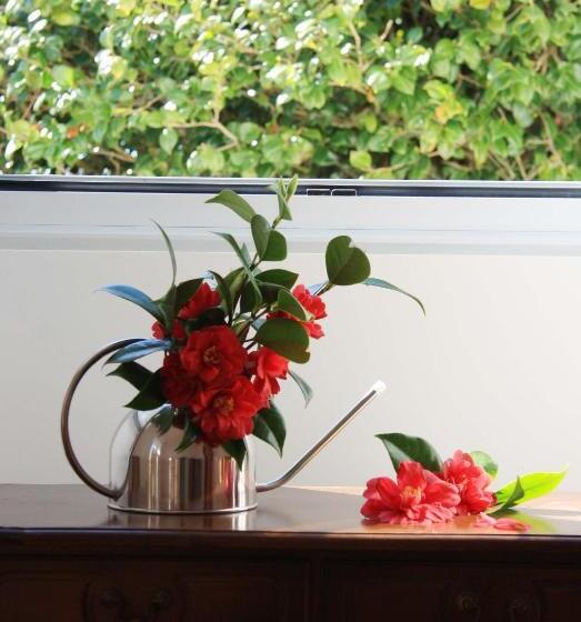 Номер Стандарт Совместная Ванная, Quinta Atlantis