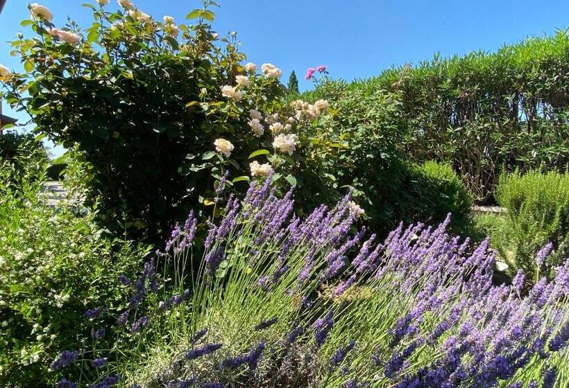 2ベッドルームアパートメント, Casa San Marco