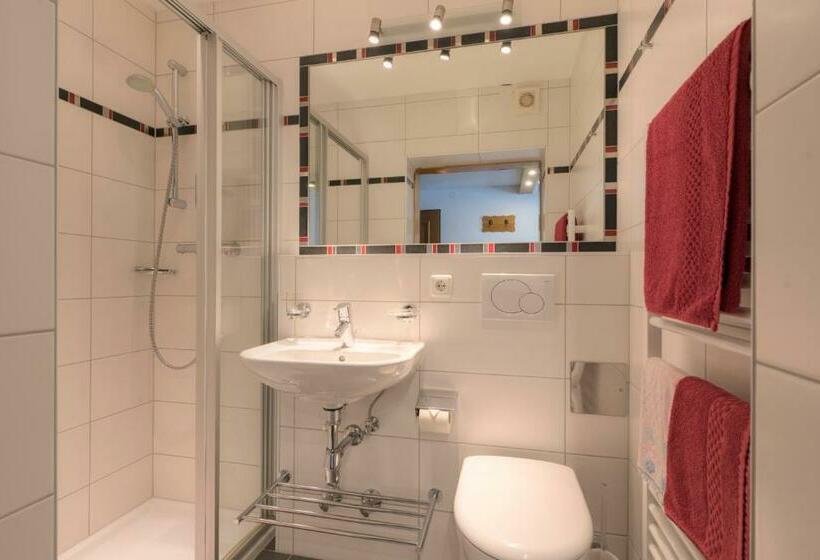 غرفة قياسية فردية, Das Elisabeth