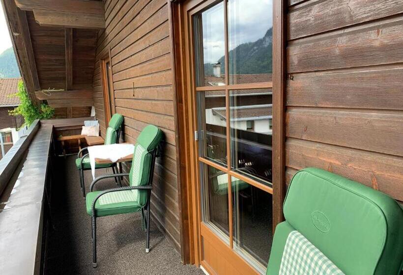 آپارتمان 1 خوابه با بالکن, Gintherhof